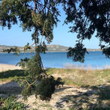 Maison Vecchio - Lecci