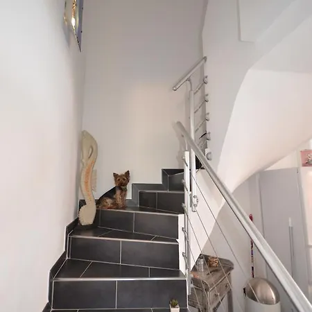 Maison Vecchio - Lecci *