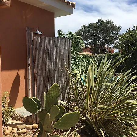 Maison Vecchio - Lecci Casa vacanze Porto Vecchio