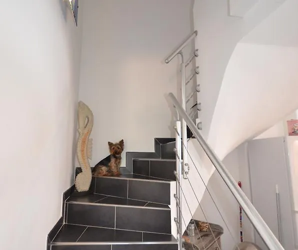 Maison Vecchio - Lecci *